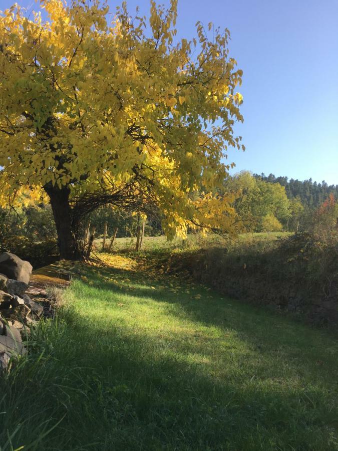 Valsonne Le Chatel En Beaujolais מראה חיצוני תמונה