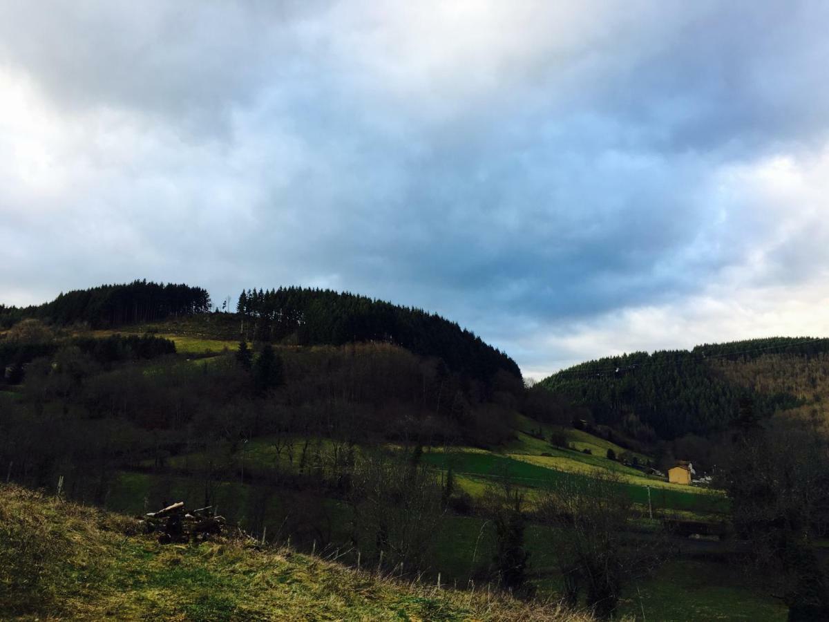 Valsonne Le Chatel En Beaujolais מראה חיצוני תמונה