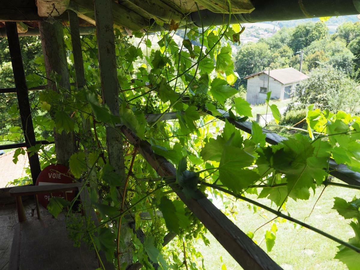 Valsonne Le Chatel En Beaujolais מראה חיצוני תמונה